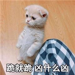 示例图片